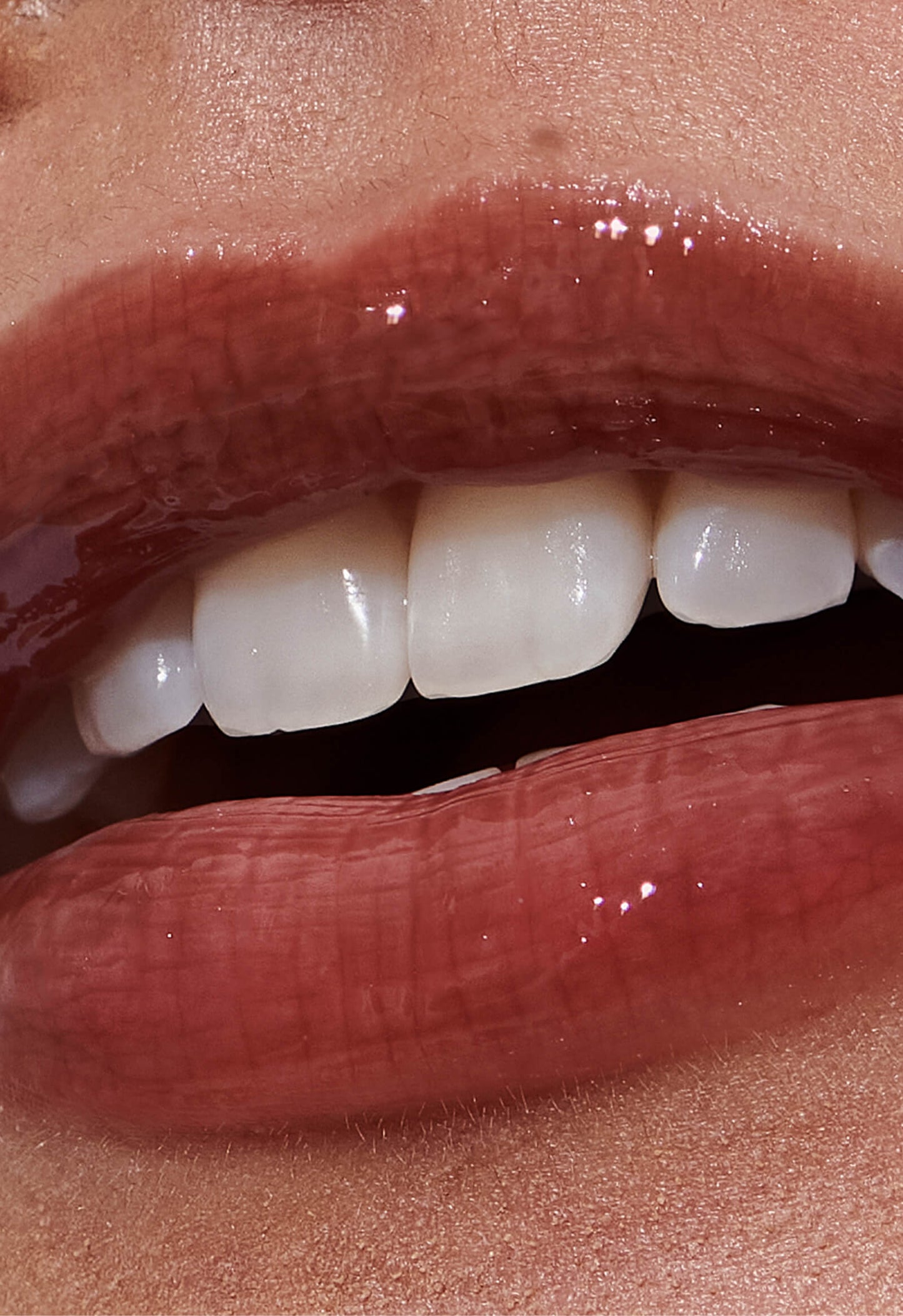 the duos toasted teddy + espresso